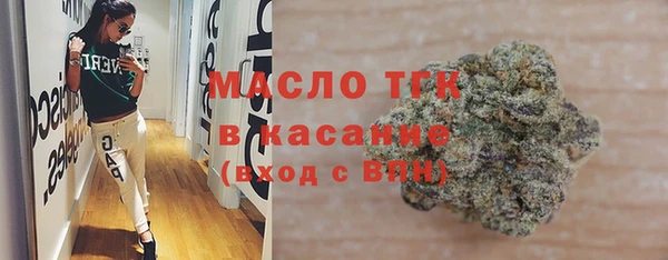 сатива Заводоуковск