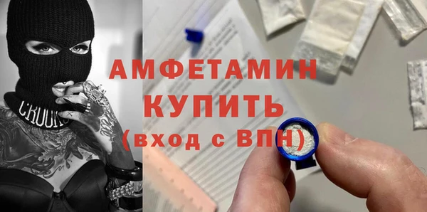 сатива Заводоуковск