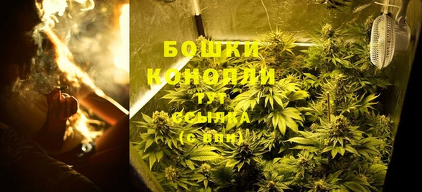 сатива Заводоуковск