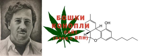 сатива Заводоуковск
