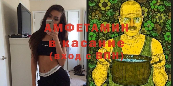 сатива Заводоуковск