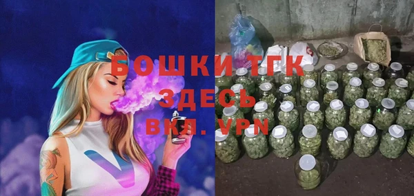 сатива Заводоуковск